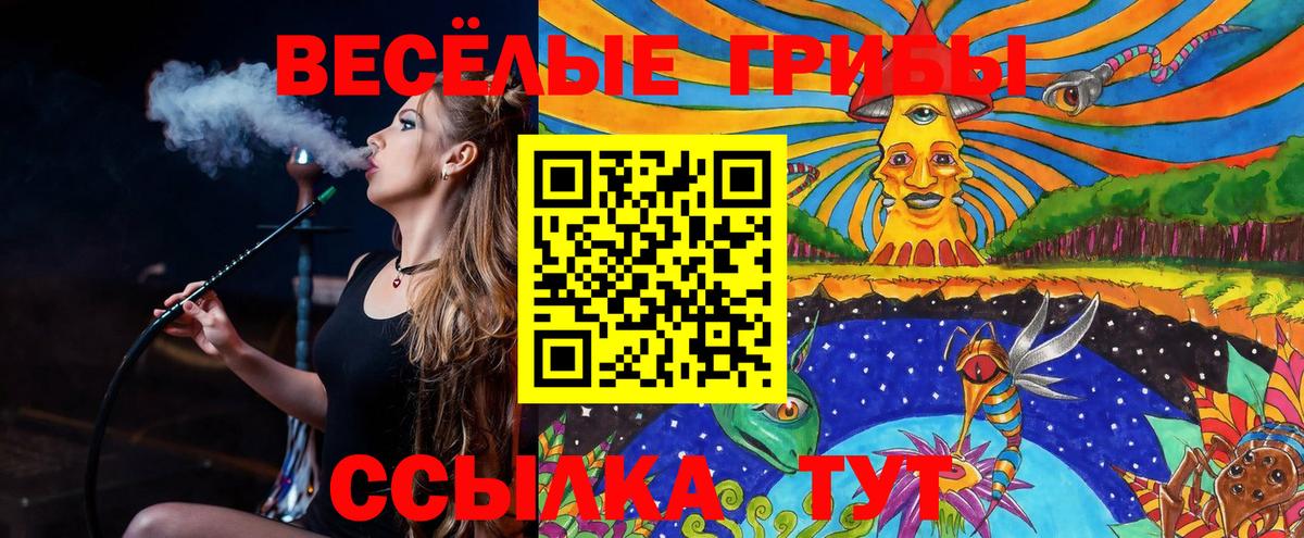 Медногорск  Псилоцибиновые грибы Psilocybine cubensis  купить наркотики цена  Вход с VPN 