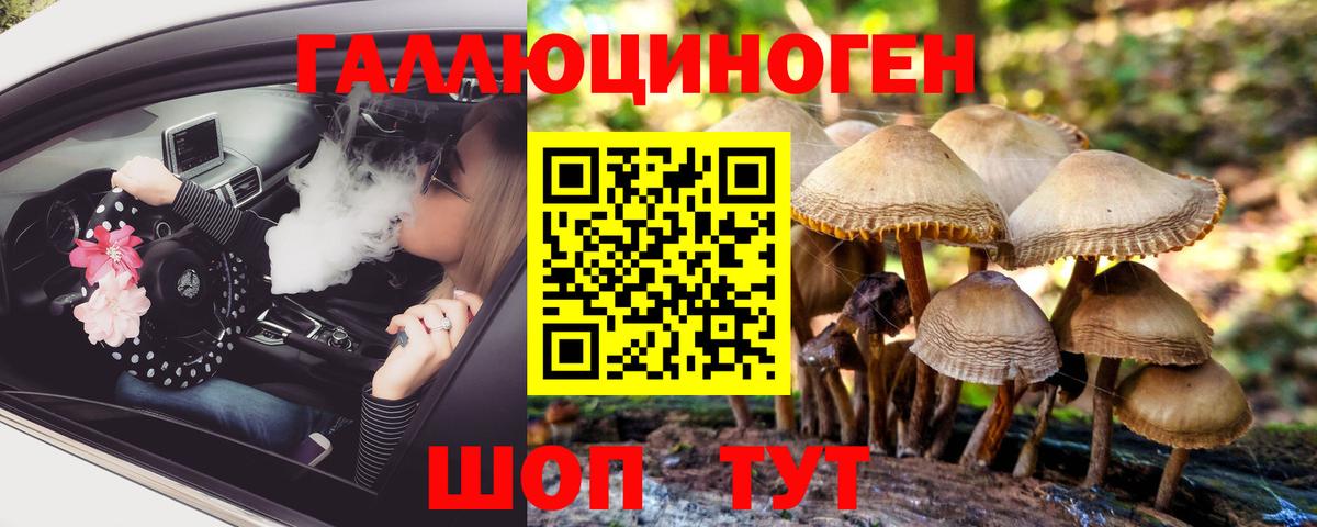 Псилоцибиновые грибы ЛСД Медногорск